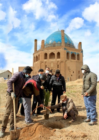 برگزاری آئین درختکاری در محوطه میراث جهانی گنبد سلطانیه