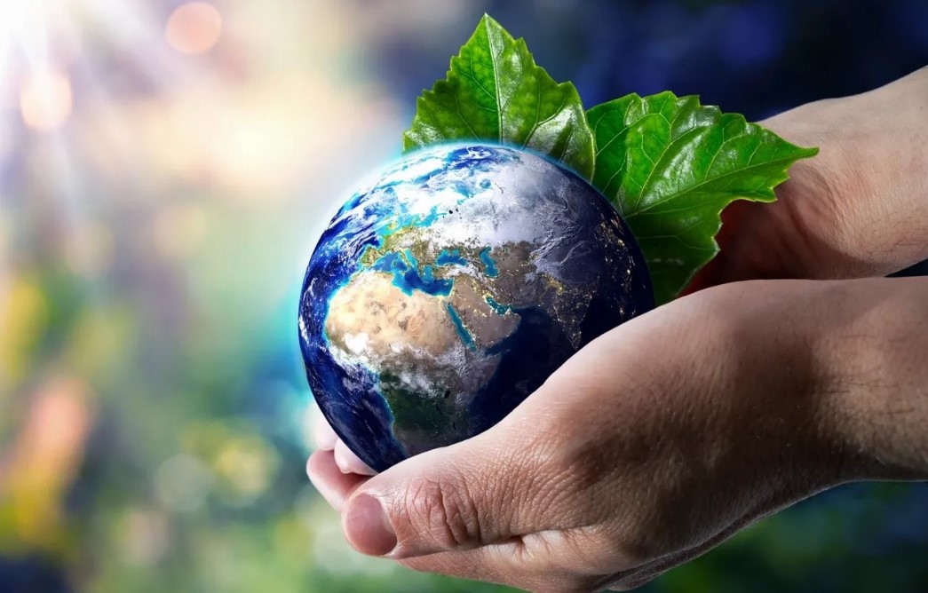 زبالههای تولیدی انسان در طبیعت، یکی از عوامل آسیب به حیوانات و طبیعت