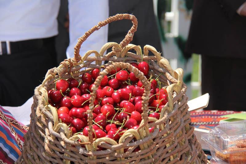 برگزاری سومین جشنواره گیلاس در روستای ولیدر