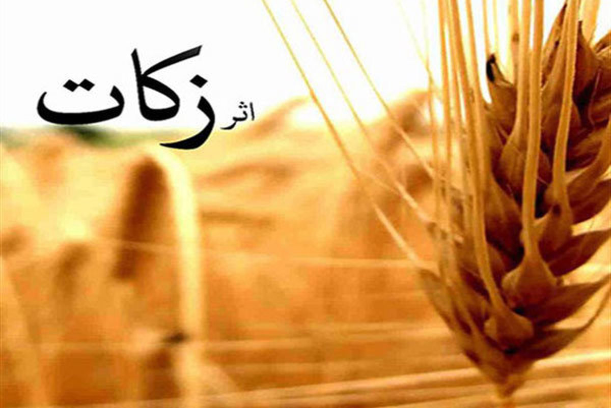 پیش بینی میشود پرداخت زکات در زنجان افزایش یابد