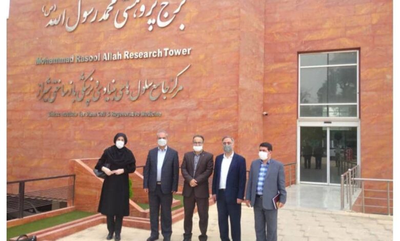 همکاری دانشگاه علوم پزشکی زنجان و شیراز در زمینه سلول‌های بنیادی