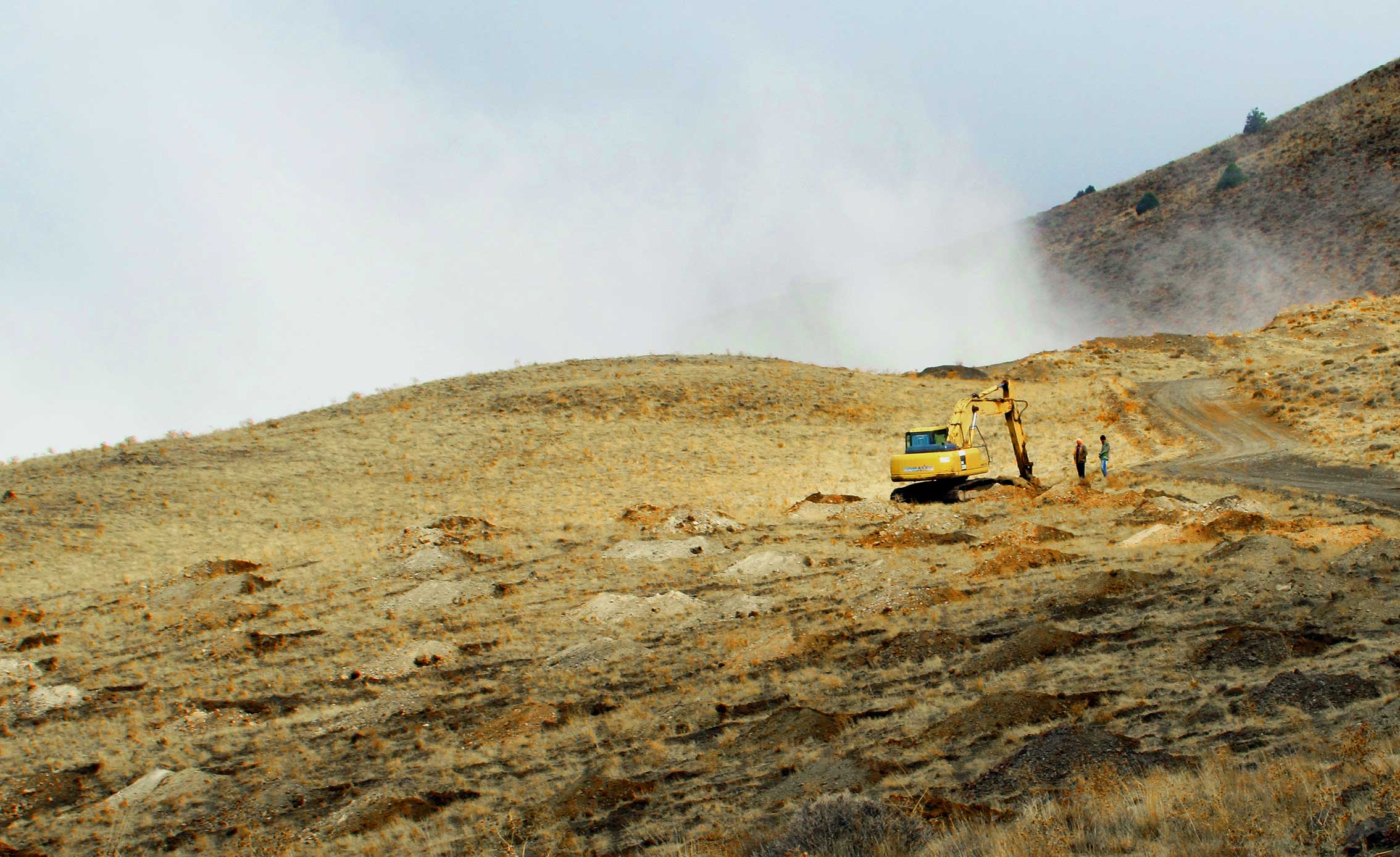 ضرورت توجه به جنگل کاری دیم در زنجان