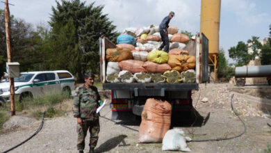 کشف و ضبط 3025 کیلوگرم انواع گیاهان دارویی در زنجان