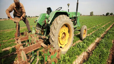 بیشترین تسهیلات تبصره 18به بخش کشاورزی پرداخت شده است