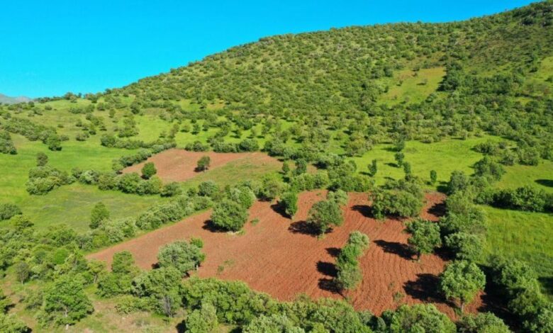 حدنگاری زمین‌های ملی از اساسی‌ترین اقدامات حاکمیتی برای تعیین سطح منابع ملی و دولتی