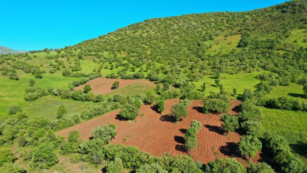 حدنگاری زمین‌های ملی از اساسی‌ترین اقدامات حاکمیتی برای تعیین سطح منابع ملی و دولتی