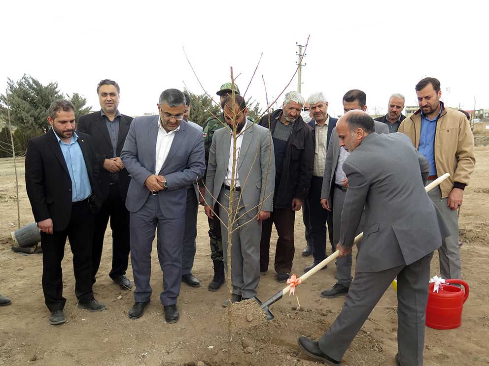 درختکاری و حفاظت از درختان نیاز به فرهنگ سازی عمومی دارد