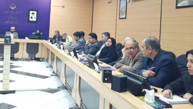 رصد آسیب های اجتماعی در زنجان ادامه دارد