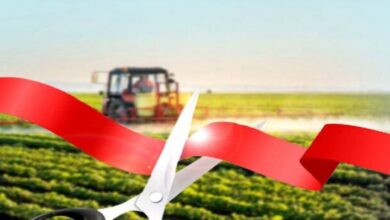 بهره برداری از 28 پروژه کشاورزی در زنجان