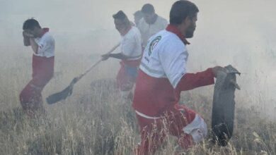 آتش جنگل های سلطانیه امدادگران را به صحنه حادثه کشاند