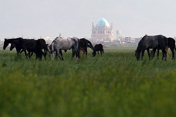 تخصیص یک میلیارد و 200 میلیون تومان برای تثبیت حدود چمن گنبد سلطانیه