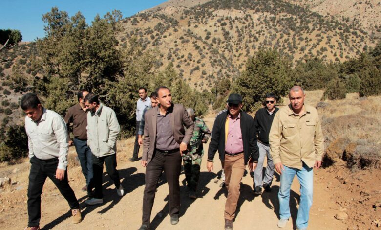 مبارزه با گیاه انگلی ارس واش نتیجه‌بخش بوده است