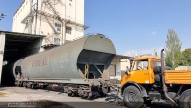 اختصاص 2 هزار و 853 تن گندم خارجی به استان زنجان