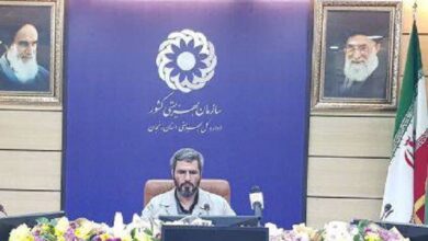 13 مرکز روزانه معلولین در سطح استان فعال است