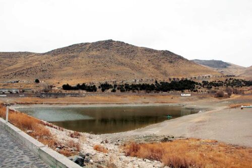 برخی از درختان پارک آبخیز گاوازنگ نیازمند احیا هستند