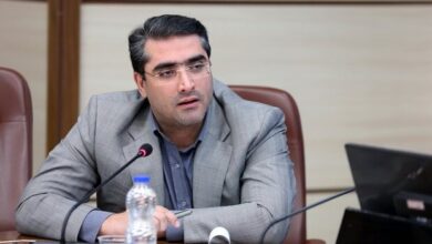 مهدی صادقی نیارکی مدیر عامل گروه صنعتی ایران ترانسفو شد