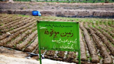 رشد 16 برابری درآمدهای موقوفات استان زنجان ظرف پنج سال گذشته