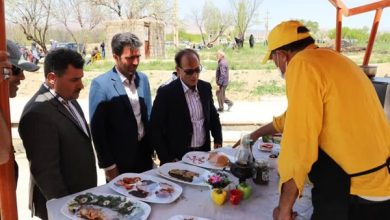 سومین جشنواره طبخ ماهی در ماهنشان برگزار شد