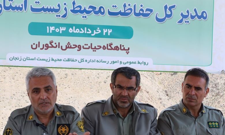 زنجان با کمبود نیروی انسانی در حوزه محیط زیست مواجه است